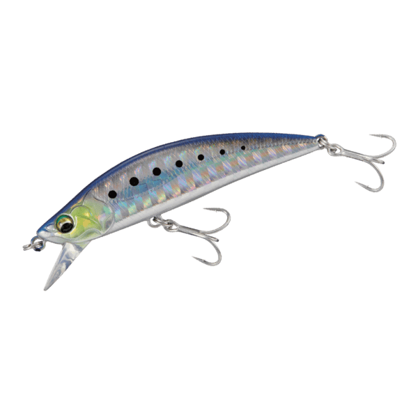 Major Craft Eden SW Lure